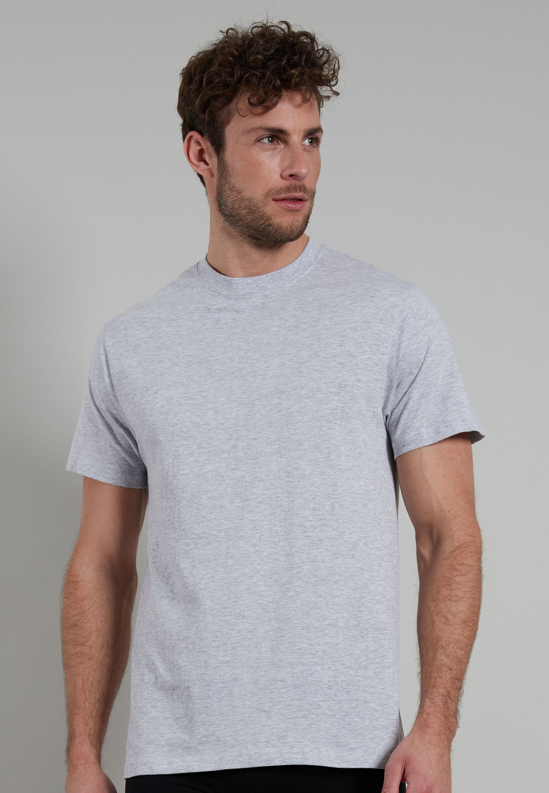 GÖTZBURG Herren T-Shirt grau uni 2er Pack